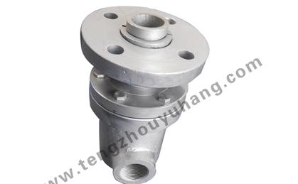 rotary joint steam